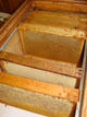 Die Waben werden in Kisten "angeliefert"...